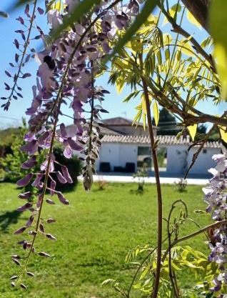 Studio loft au cœur du var