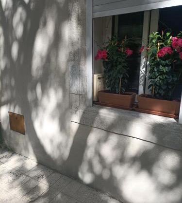 Studio 24