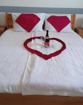 Studio Apartman Orhideja