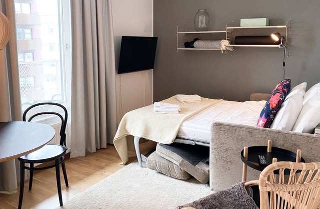Studio Apartment With Sofa Bed (Street View)