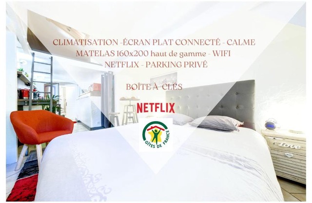 Studio atypique et cosy, classé Gîte de France, CLIMATISATION, lit Queen Size, lave-vaisselle, Netflix, wifi, 400m centre, parking, 15min gare, boîte à clés, Gîtes La Tarine
