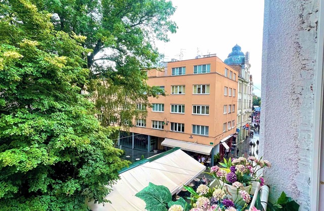 STUDIO GALLERY 29 - Cozy apartment in Sarajevo City Center