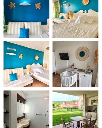 Studio Hippocampe P&V