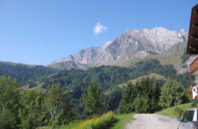 Studio in chalet, nice view, quiet, Col des Aravis