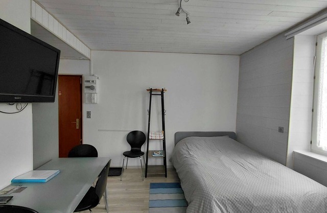 Studio meublé rénové proche Hyper Centre - Résidence La Fresnaie