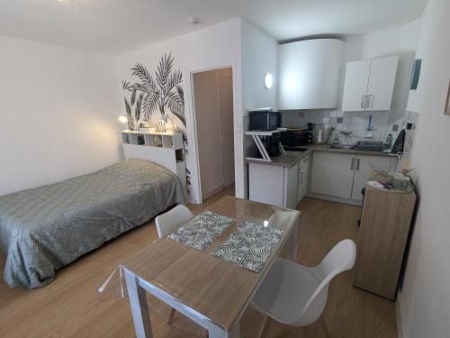 Studio Rue Castellane pour Cure ou Tourisme Vert à 2 min des Thermes