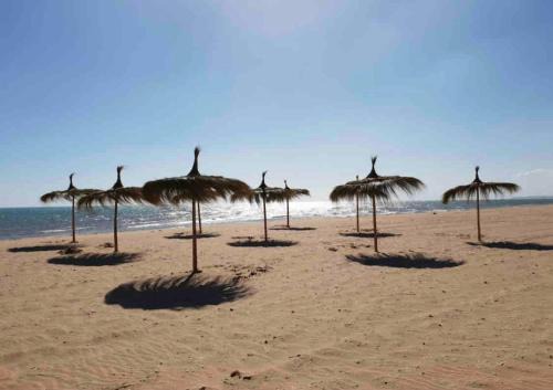 Studio Raoued plage