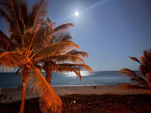 StudioBTS - Lauderdale-By-The-Sea