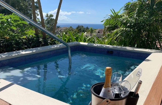 Stunning 2 Bedroom villa with Plunge Pool and Sea view