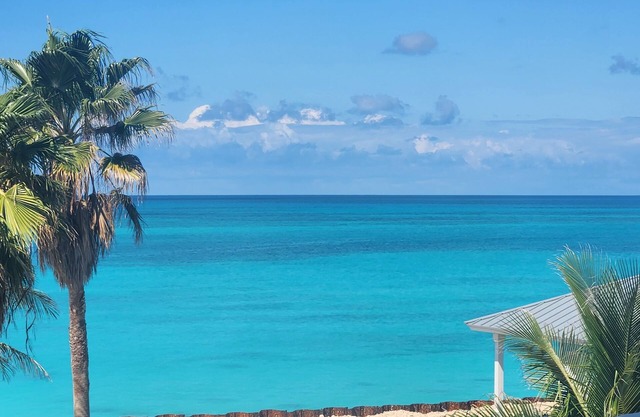 Stunning Caribbean Ocean Views Centrally Located - Golf Cart Optional