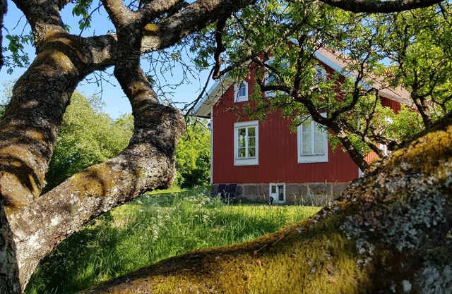 Stylish farmhouse with large garden and great play barn near the Baltic Sea