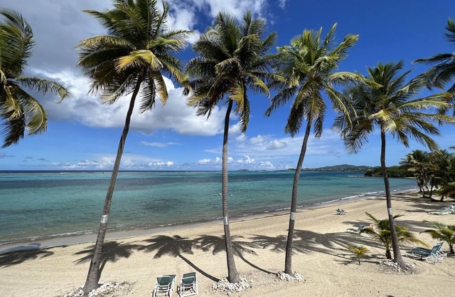 Sugar Beach Condo - swaying palms, a beautiful sea view