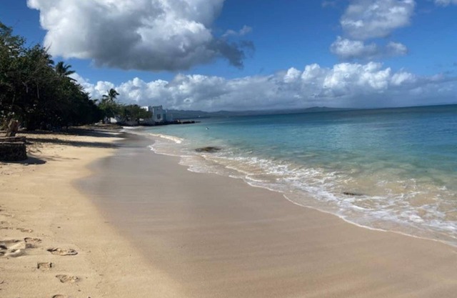 Suite 1: Oceanview Deluxe Studio 1 Block to Beach