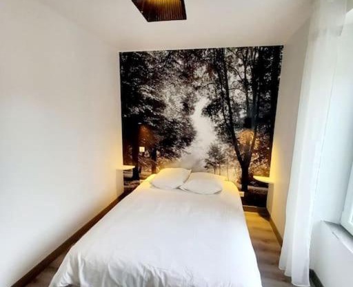 Suite du jardin 4