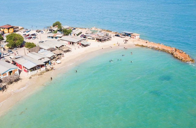 Summer's House