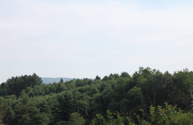 SUMMER SPECIAL PRIVATE & PEACEFUL IN HIGH COUNTRY MOUNTAINS 4TH NIGHT @ 25% off
