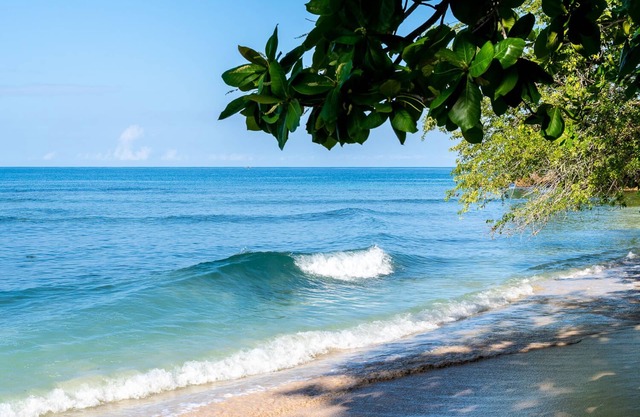 Summers Dream. your dreams become a reality.