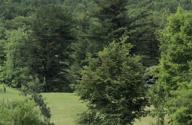Sunapee Townhome Has It All