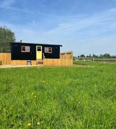 Sunflower Hut