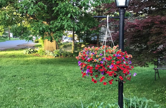 Sunny and Bright Home, Close to Penn State's Campus