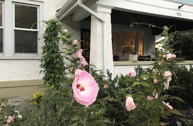 Sunny Blue Bungalow near Nashville in Historic Downtown Murfreesboro