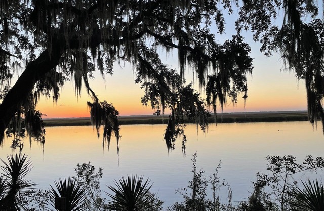 Sunny Saint Simons home with unique open floor plan, privacy and pool