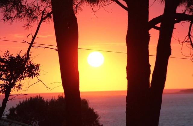 Sunsets guaranteed, magnificent view of the pool and beach at 50 m