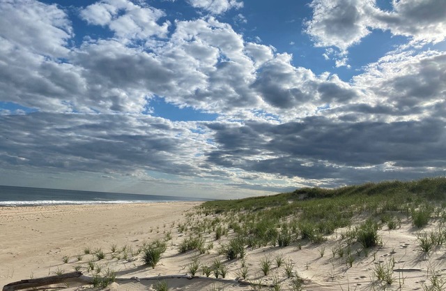 Super-Lux Oceanfront property with private beach access in Estate section