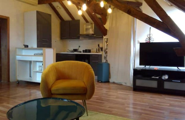 Superb apartment with Loire view under the roofs