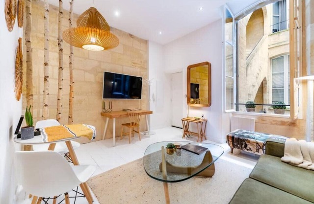 Superb bright and charming Bordeaux flat with terrace