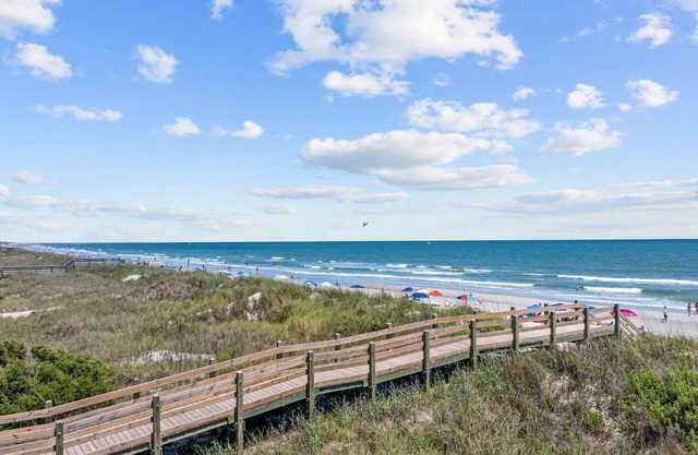 Surf Sun Pura Vida - 3