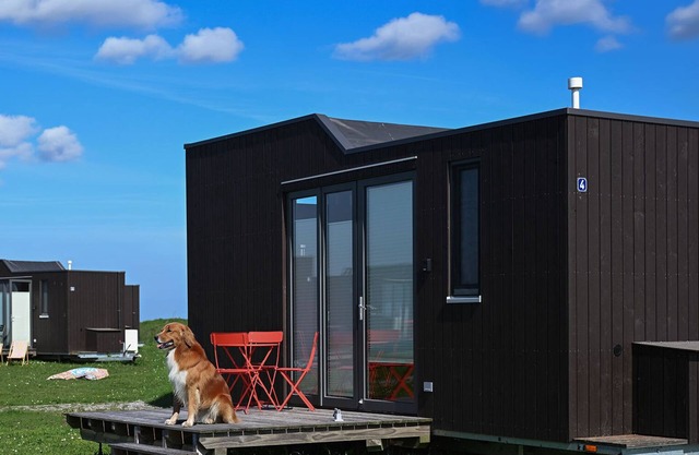 Sustainable vacation with a dog in the Green Tiny House Nature 4 on the North Sea