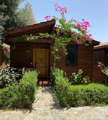 Suzi'nin Bahçesi Bungalov Evler