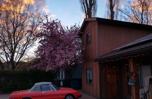 Sweet Private 2 room Guest Suite near Downtown Flagstaff and Snowbowl