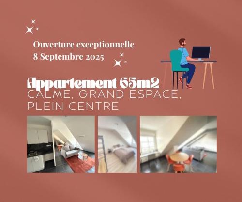 Télétravail pro - Calme, grand espace, plein centre