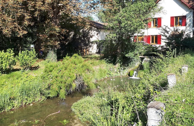 Three bedroom Country house with library in the Dordogne