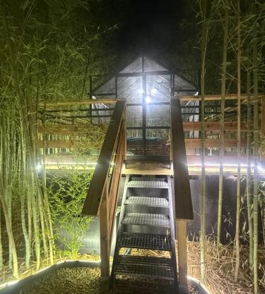Tanabata logde