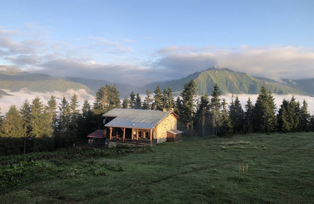 Tanevit Dag Evi