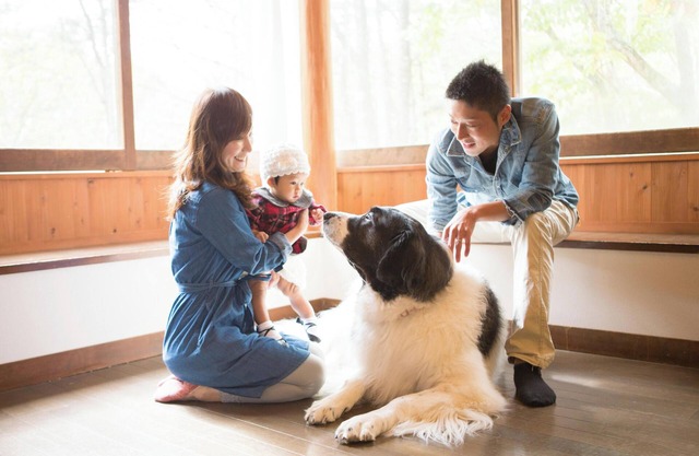 Tateshina Wanwan Paradise Cottage
