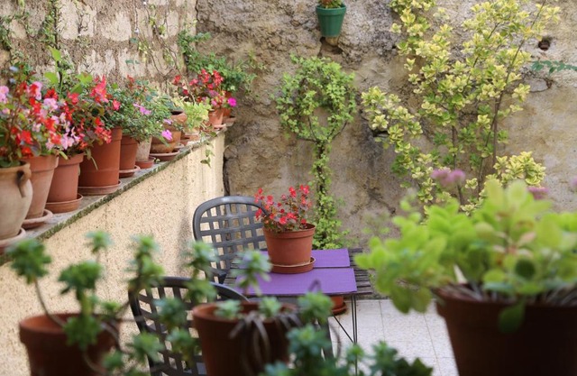 Terrasse fleurie