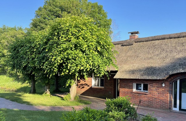 Thatched roof East Frisian house in a quiet location in East Frisia for up to 7 people