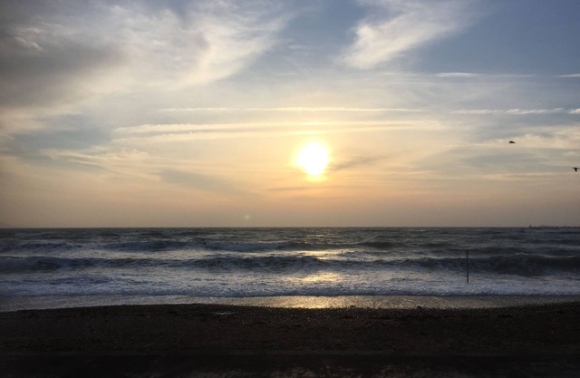 The Beach House