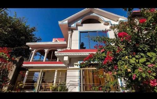 The Bird View Homestay.