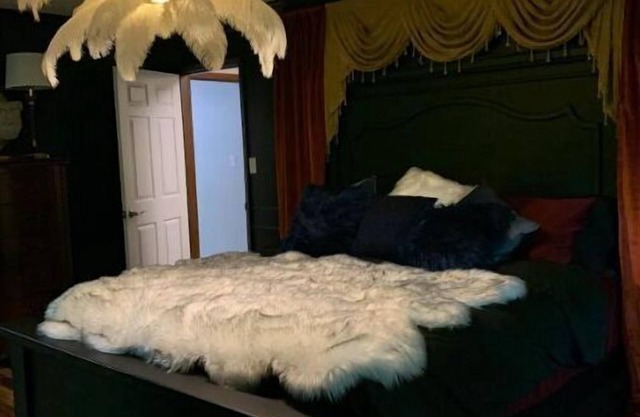 The Canary of Clarksville