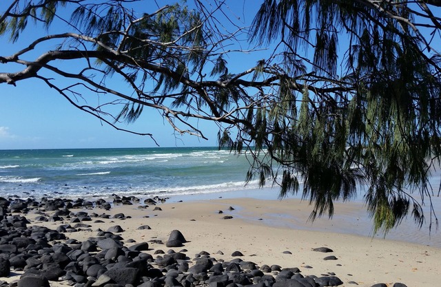 The Cove Oceanfront Retreat, Upstairs Apartment - Pet friendly