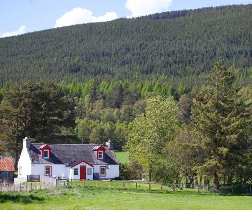 The Croft Cottage - near Aviemore
