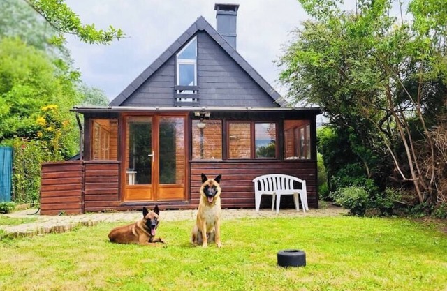 The canine cuddle cottage