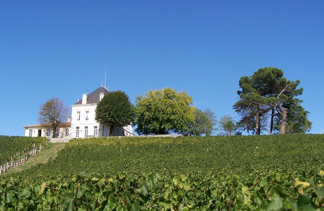 The House of Tournefeuille! Marvellous!