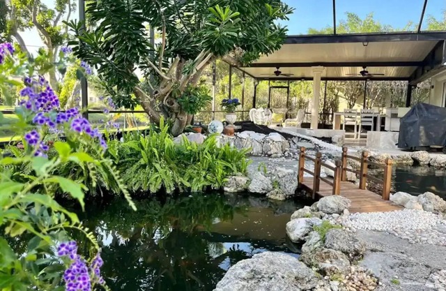 The Koi House