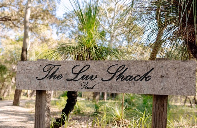 The Luv Shack - Sunrise at 1770